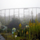 Illustration for article titled The Crumbling Chaos of Abandoned Amusement Parks
